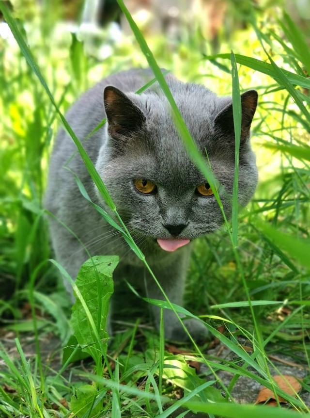 Вот вам