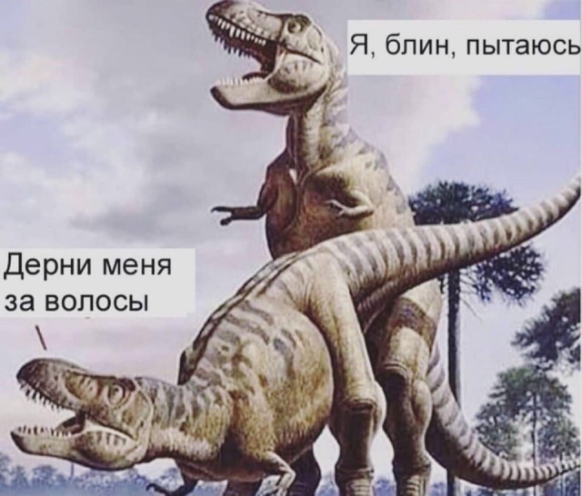 Девичья краса.