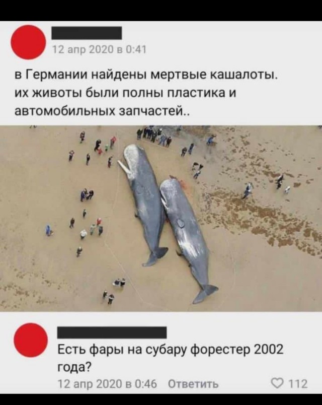 Весёлый полтишок 19.07.23