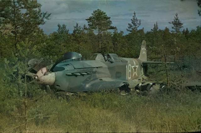 Подборка фотографий Великой Отечественной войны. Часть 3