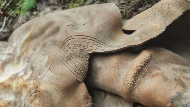Небесная "Буря". Тайна синявинских лесов