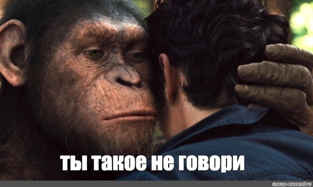 «Спи спокойно в аду. Помнить не будем. Скорбеть не будем»