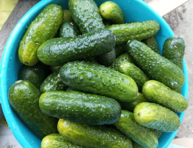 Маринованные с виски огурцы