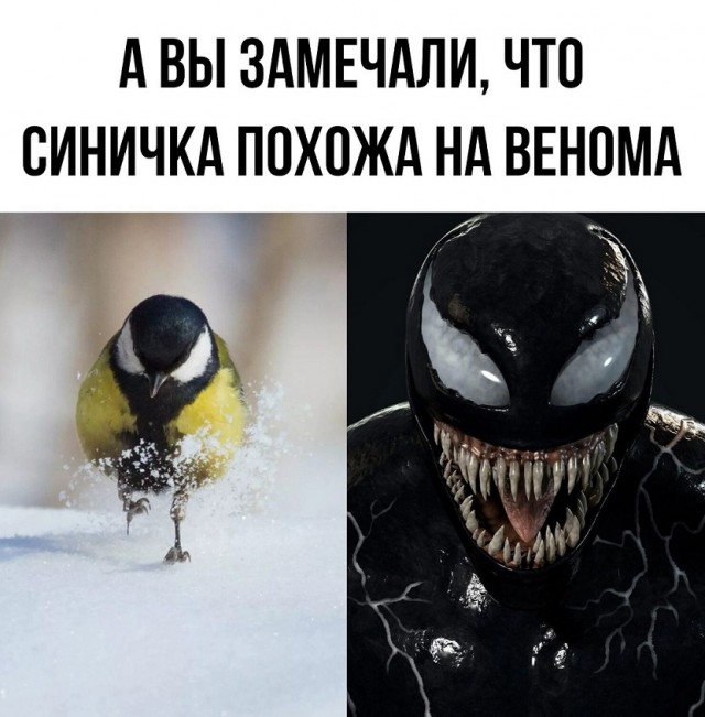 Кажется я снял лучшее видео в своей жизни⁠⁠
