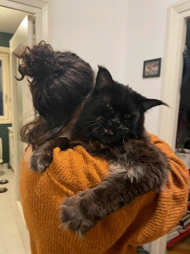 Подборка интересных и веселых картинок 13.02.24