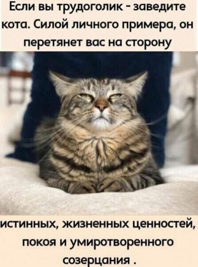 Нуштош 22.02.2024