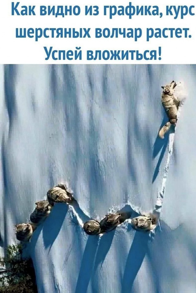 Всего понемногу. От 24.02.24