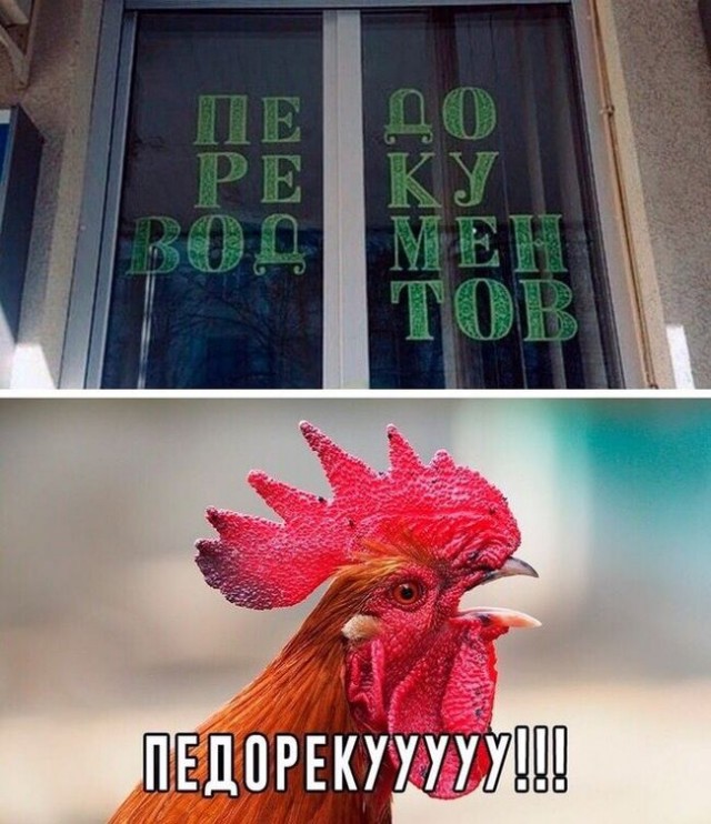 Никакие картинки