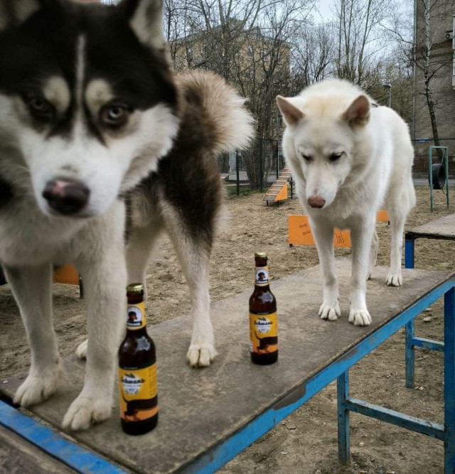 Любитель пива.
