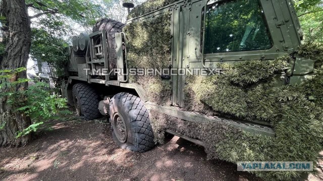 Здравствуйте, меня зовут "Мальва"