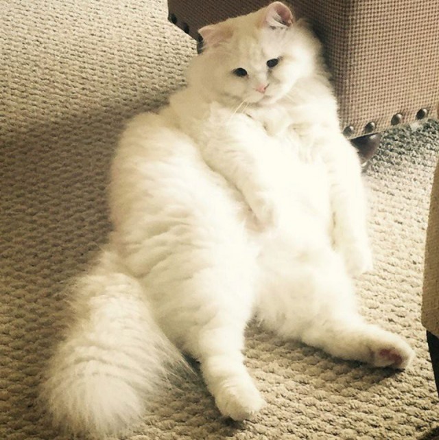 Подарочек