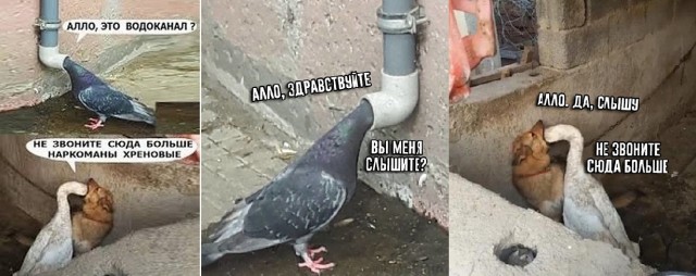 Завалялось тут случайно немного забавных картинок