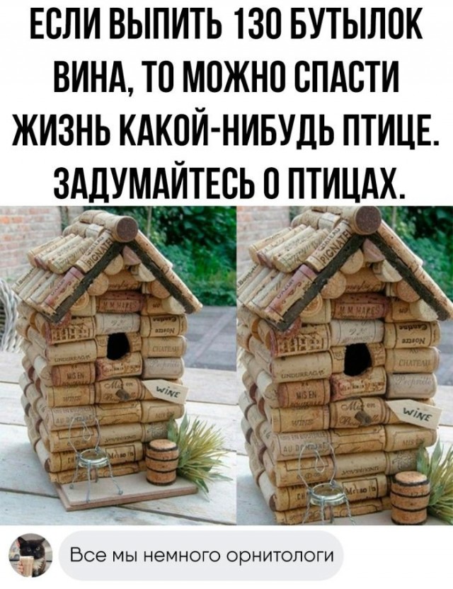 Немного забавных картинок от 11.09.2024