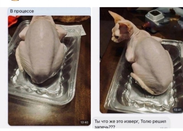 Какая пятница такие и картинки