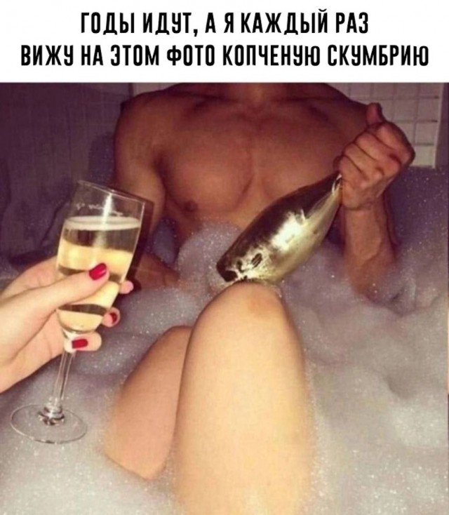 Весёлый полтишок 19.12.24
