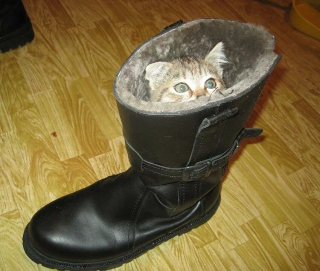 Была история...