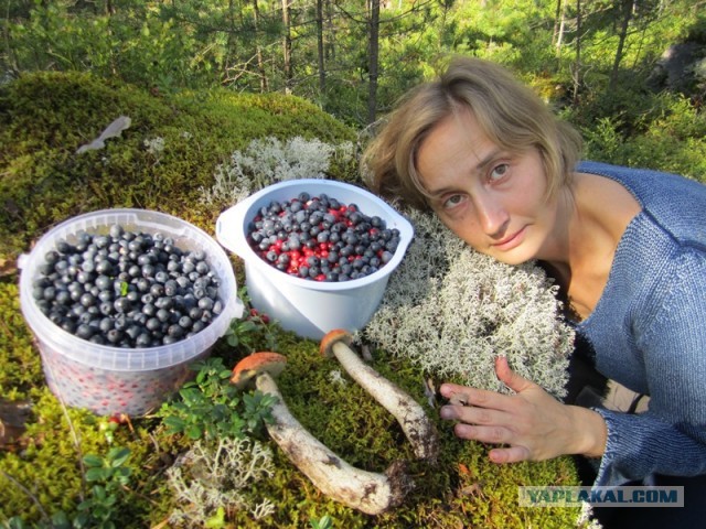 Красота! Лето на Ямале. Фото