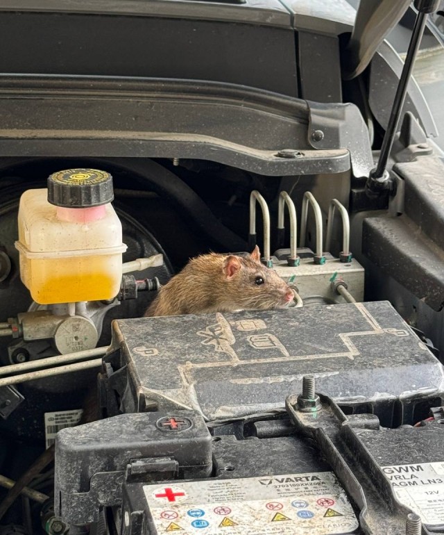 Приехали...или происки конкурентов!?