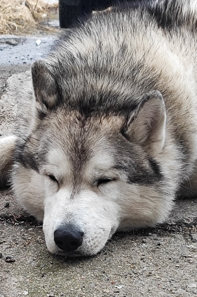 Как тебе такое Илон Маск?