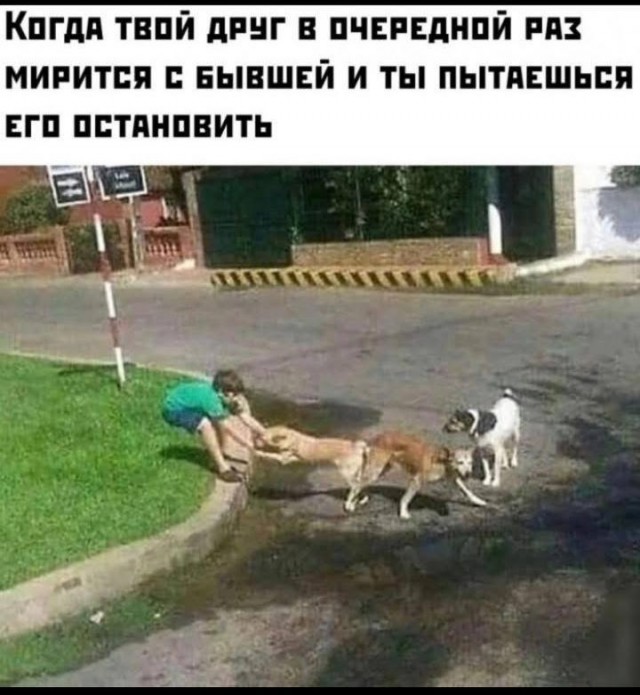 Так себе картинки 16.05.25