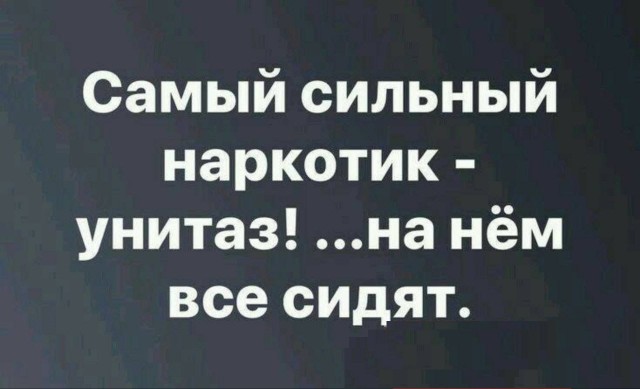 Смешные картинки с надписями и планы на лето 2025
