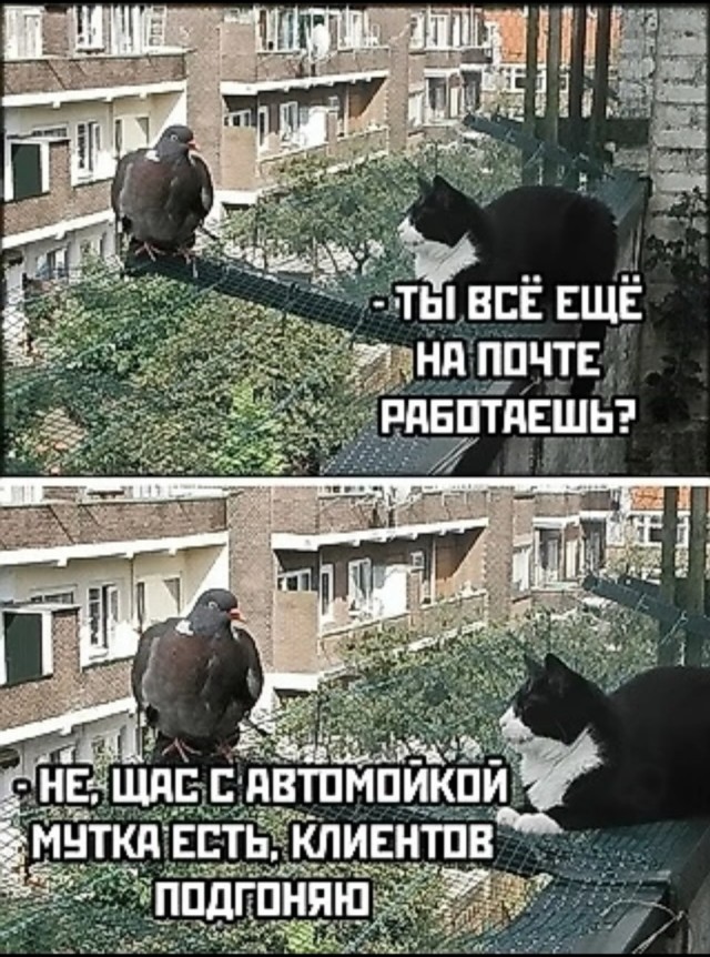 Завалялось тут случайно немного забавных картинок