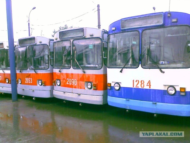 Самый массовый троллейбус мира