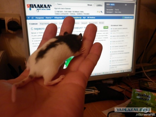 А ты живи с этим