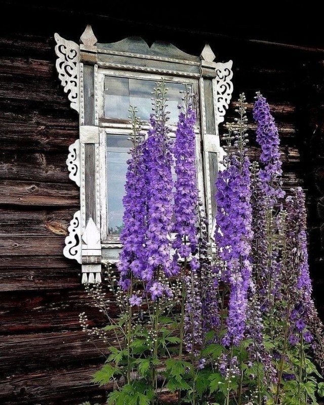 Прикольные и просто красивые картинки 12.08.2025