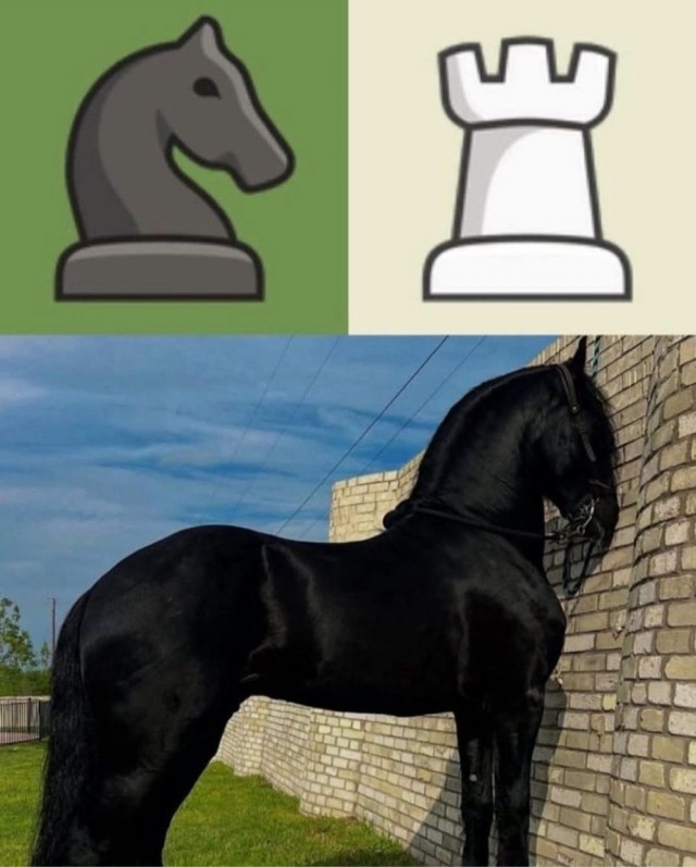 Среды картинки