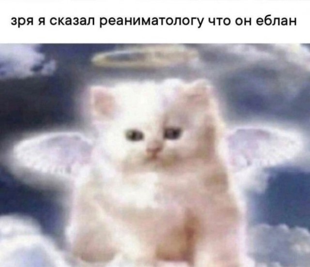 Веселые картинки в пятницу (26.12)