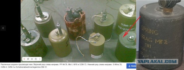 Помогите опознать.