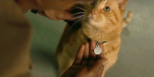 Sело Татуиново: Эпизод III