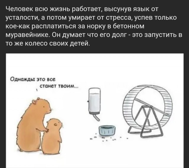 Неприличный вопрос в автобусе