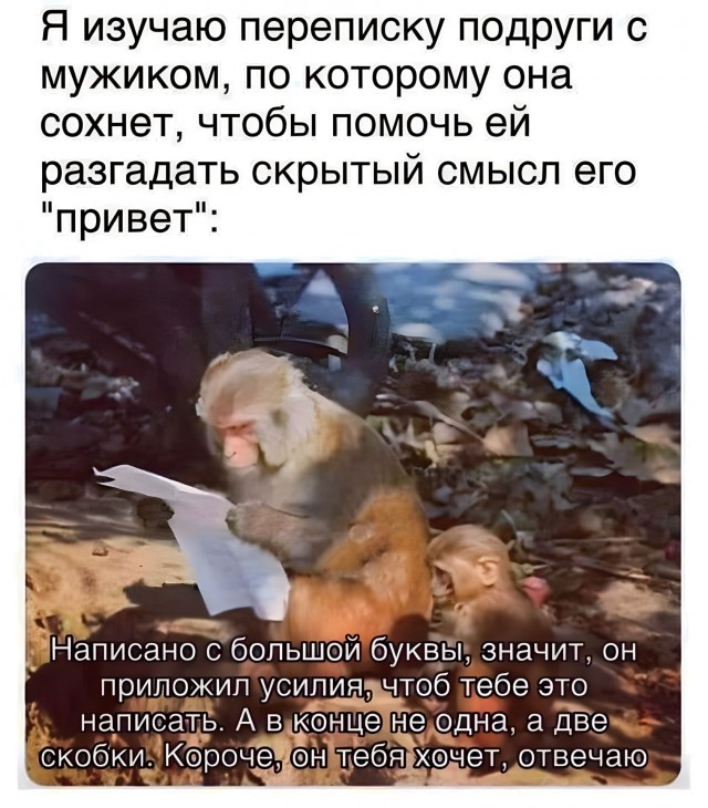 Требуется переводчик