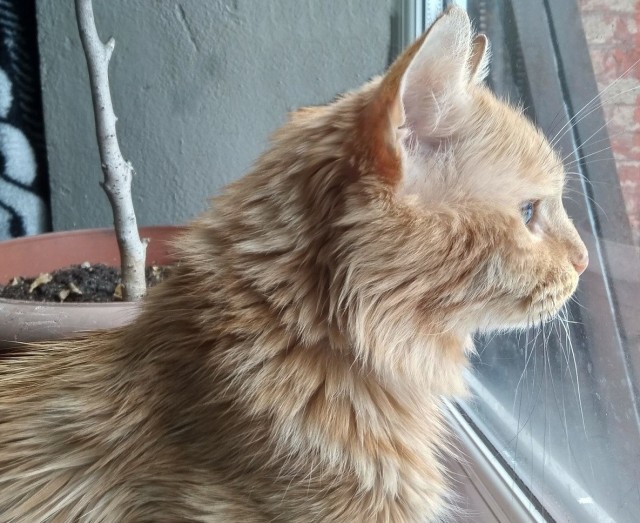 Потерял друга