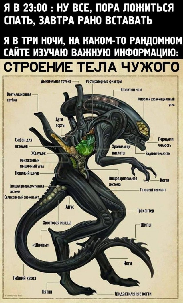 Так себе картинки 13.06.26