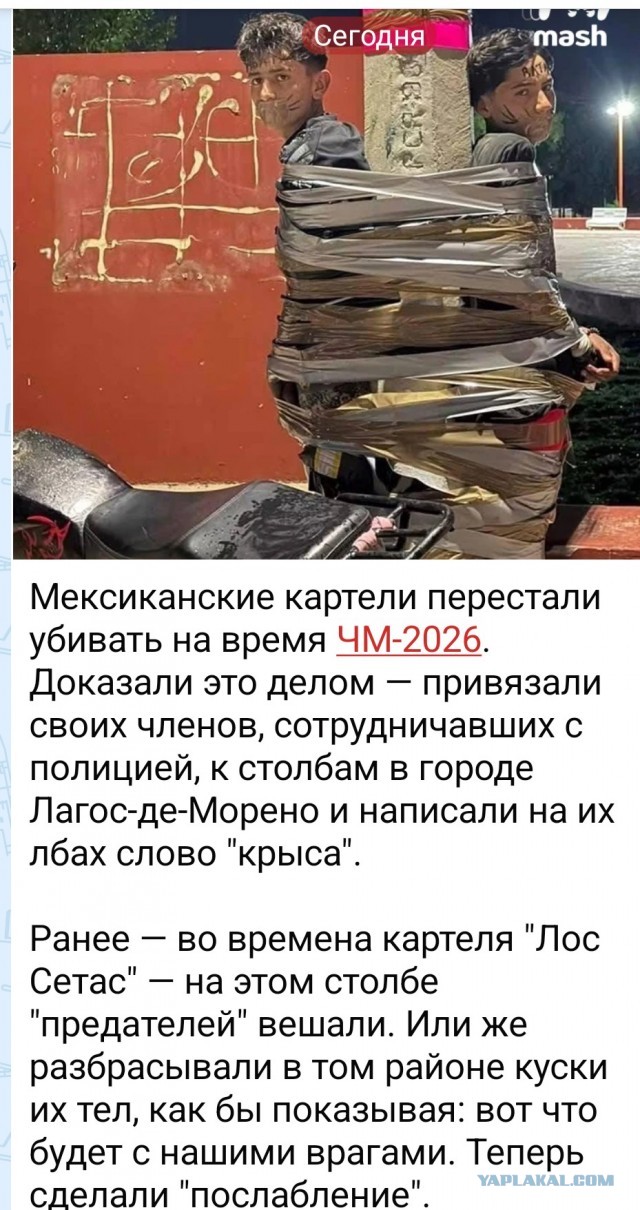 Жестяночка из Мехики