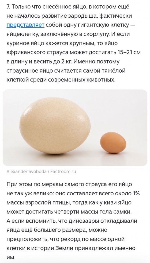 Познавательные картинки