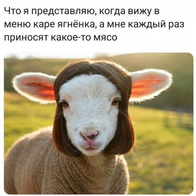Веселые картинки в понедельник (03.08)