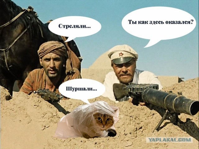 Мы – поколение, у которого есть свой язык