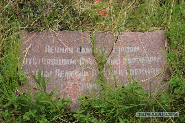 Высота 258,3  "Долина Смерти"