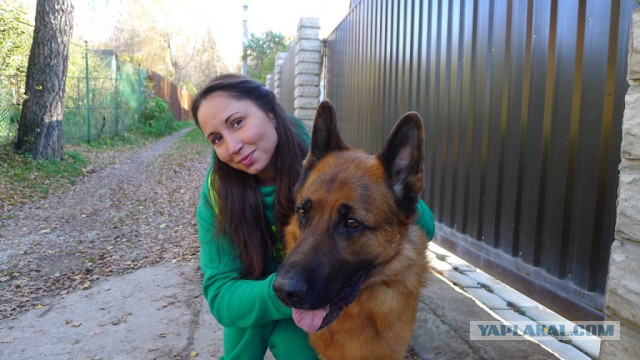 Собачья мимимишность