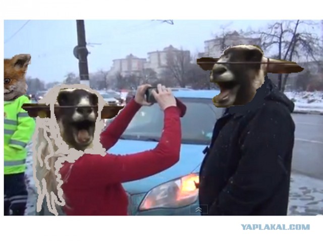 СтопХам 74 Истерика