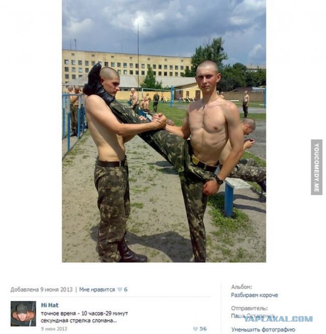 Прикольные пикчи