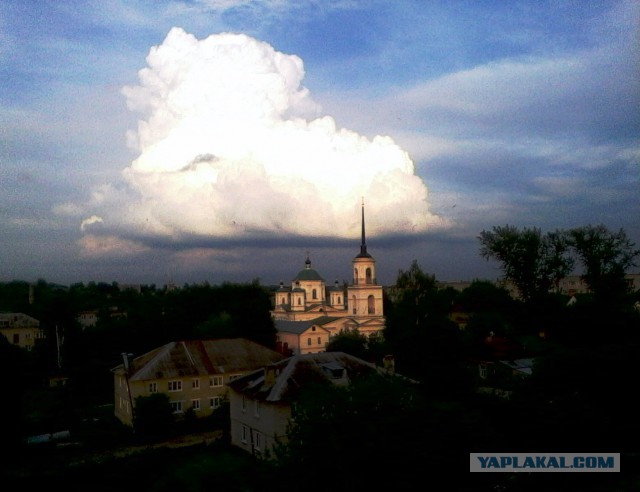 Последнее фото с Вашего телефона.