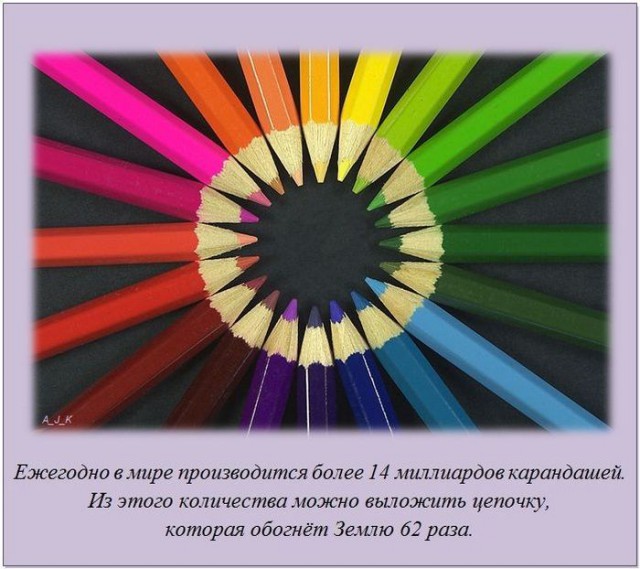 20 фактов обо всем