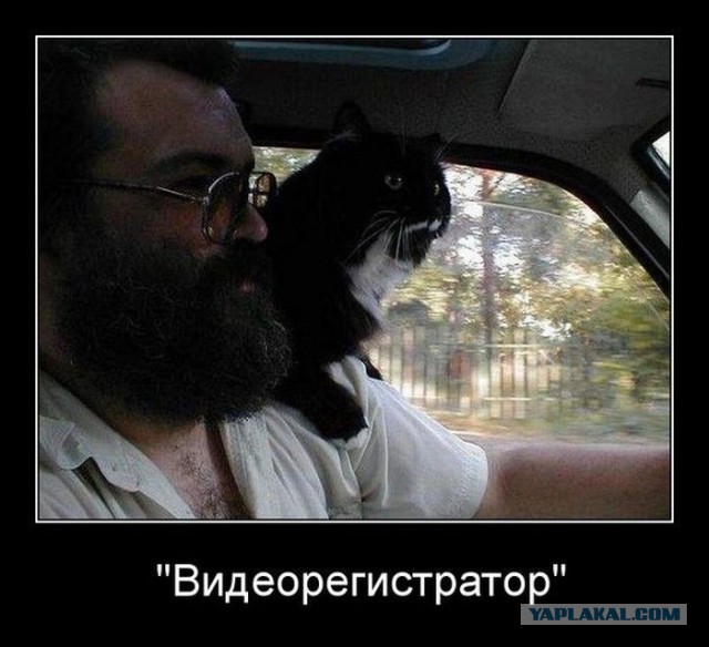 Купили автомобильный видеорегистратор, называется.