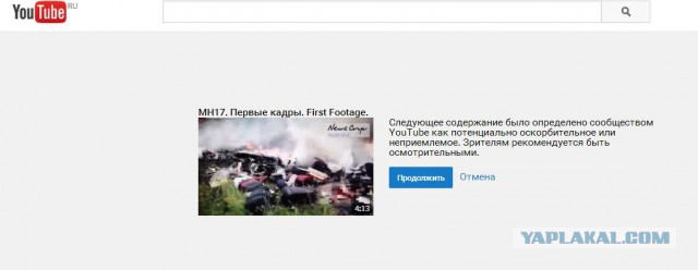 Первое видео с места падения Боинга MH17