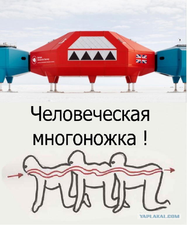 Британская исследовательская станция в Антарктиде